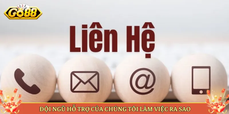 Đội Ngũ Hỗ Trợ Của Chúng Tôi Làm Việc Ra Sao