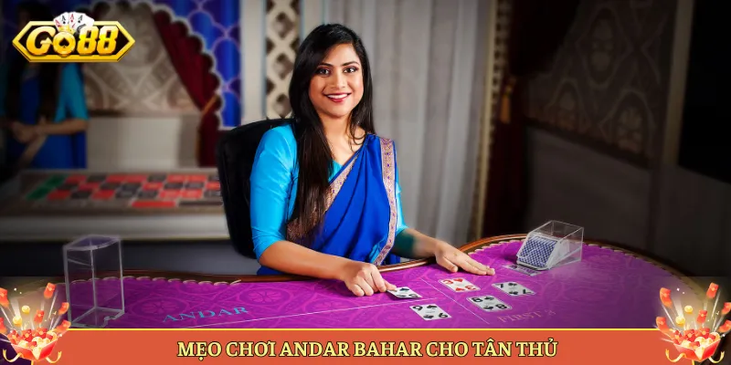 Mẹo Chơi Andar Bahar Cho Tân Thủ