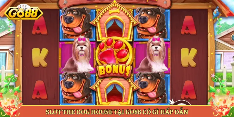 Mẹo Chơi The Dog House Để Săn Hệ Số Lớn