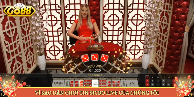 Vì Sao Dân Chơi Tin Sicbo Live Của Chúng Tôi